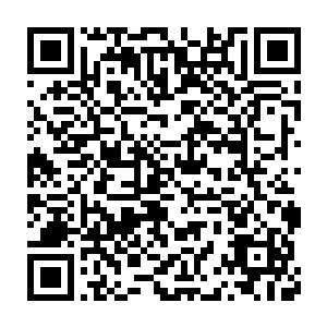 当陆为民一行圆满结束出访回到京城时已经是元旦已过的一月初了二维码生成