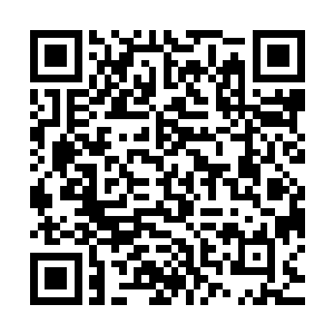 当陆为民和苏燕青带着柯斯达以及车上的十多位客人到达南潭是二维码生成