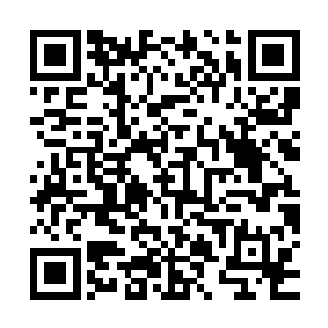 当黑色种子最后的怨毒恨意随着他被彻底瓜分干净而消散的时候二维码生成