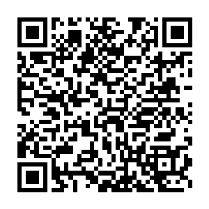 形成一道巨大的光比将密密麻麻攻击而上的东西全部都挡在了外面二维码生成