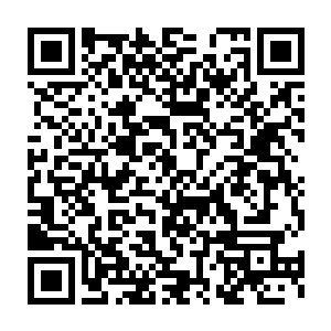 形成了一股由数十名源境组成的强者队伍前往了这一界的边荒地带二维码生成