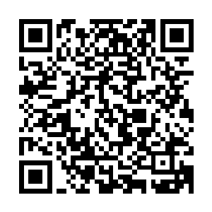 形象完美的随时可以去街上冒充花美男的白发青年啧啧的感叹着二维码生成