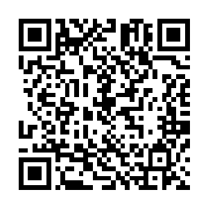 彦之的玉牌中记录了一些灵植种植的技巧和几项有关的法术二维码生成