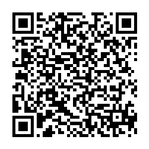 彭天武等人再度上前与李青鸿和冯文博两位新任长老重新行礼见过二维码生成