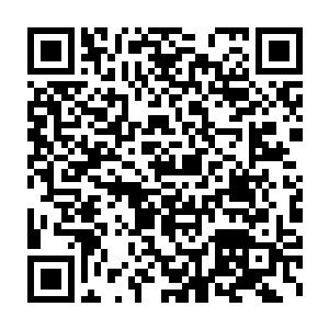 影九……这些曾经在夺嫡战中与杨开并肩作战的血侍们第一批赶到二维码生成