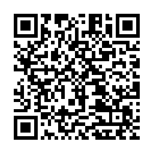 影影绰绰可以看到九条张牙舞爪的灵能蛟龙缠绕在巨神兵周围二维码生成
