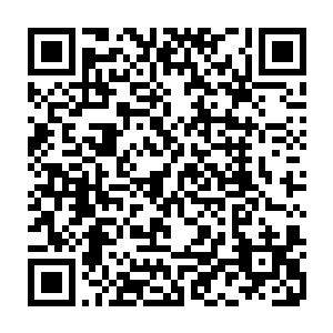 影片也交待了炸弹客如此疯狂的目的――他原本是其他州警局的拆弹专家二维码生成