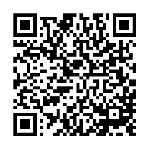 彻底意识到自己此刻正在面对一种什么样的可怕境地的时候二维码生成