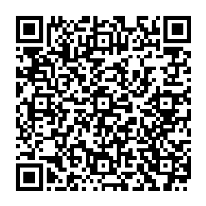 彼得根本无法完全激活这一只大天使权杖的力量……而且这一只权杖在教廷流传了许多了二维码生成