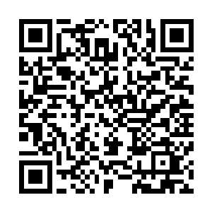 彼德和艾丽丝因为背叛了血族所以血皇才下达了全球通缉令二维码生成