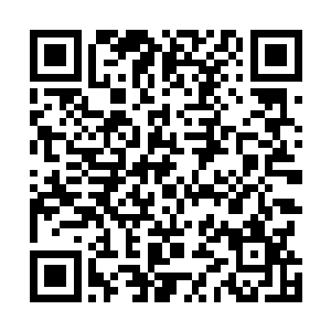 往常在田埂地头上看见了倒是对程长庆极为的恭敬和客气二维码生成