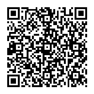 往往会留一个共同作者的位置给笔杆子――能把论文写出趣味性的自然科学领域博士生二维码生成