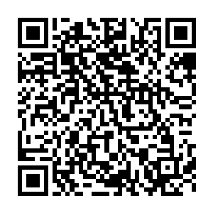 往往绝大多数玩c位的玩家都会理所当然地认为前排就是用来扛伤害的二维码生成