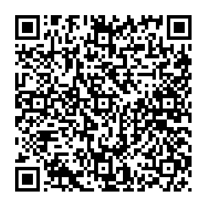 往日漆黑冰冷的眸子略显暗淡……他捂着胸口的手指缝染上了血迹……昭华郡主没有来得觉得刺眼二维码生成