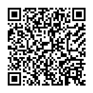 往灵墟之地对应的四个分支宗门考察上次下界选定弟子的修为情况二维码生成