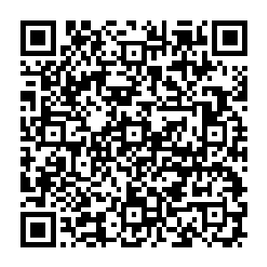 径直朝着聚在一起正在讨论何去何从的那名化神后期和另外的三名化神中期修士走去二维码生成