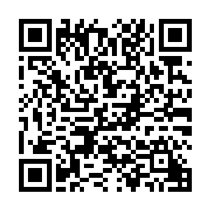 待在中间位置的洞眼不知什么时候多出一颗红色的珠子二维码生成