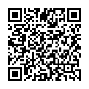 很可能是用来骂人的普通话的模子是表示模具之类的意思二维码生成