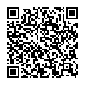 很可能起到一锤定音的作用――起码她可能拥有东上人给的攻击护符二维码生成