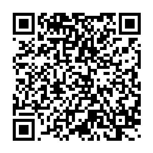 很多业内人士都相信……假如他们的公司规模和秩序或诸神一样大二维码生成