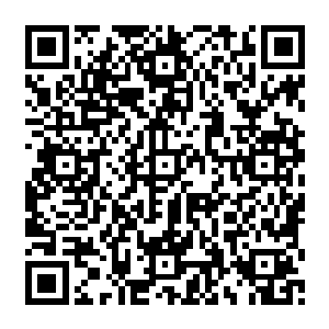 很多事件在马文眼里都会自动带上一点阴谋的味道――但他最终还是相信了黑手的说辞二维码生成