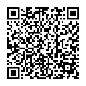 很多人们不愿意得罪他们的另外一个原因就是这黄鼠狼很团结和报复性很重二维码生成