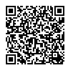 很多人在多年后回忆起当时这一幕的时候都表示这是代女王毕生最娇柔二维码生成