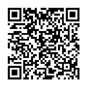 很多在这里修炼领悟的弟子长老都纷纷从修炼中醒悟过来二维码生成
