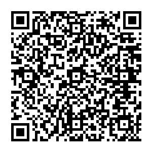 很多时候拍他的电影演员可以从头到尾都见不到剧本……而和他合作的大牌还不是乖乖地忍了二维码生成