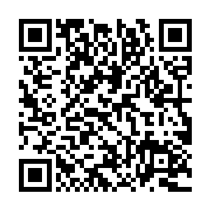 很多极其危险繁复的攻击动作格斗技术会一一体现二维码生成