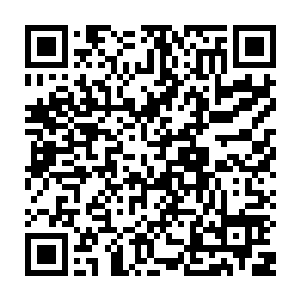 很多真武境界甚至一些散修的元丹境界根本就没有多少灵石提供他们修炼二维码生成