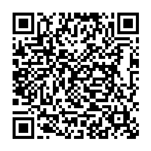 很多船长都是因为技术不够就算是用探鱼器探到了大鱼也没法拉上船二维码生成