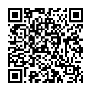 很多观众都是迫不及待要用定格来破解导演给出的信息流了二维码生成