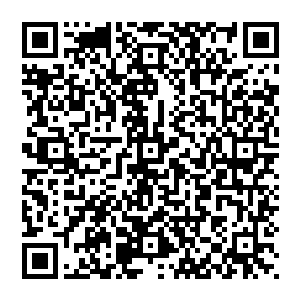 很多超级大国的大佬们在看到这则通报时冷冷笑了~不过随着rb当局如疯狗般的打击这些大佬们也坐不住了二维码生成