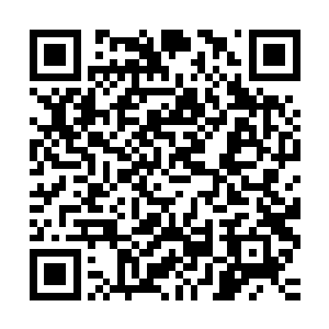很多领导在用人上已经不是外界想象的所谓圈子体系那么简单了二维码生成