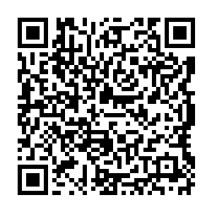 很容易感染死去的……我要救他……我要救他……他需要我……我要救他……二维码生成