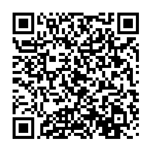 很平凡的中年人居然是武林中底蕴最强的两大宗门之一的昆仑派的长老二维码生成