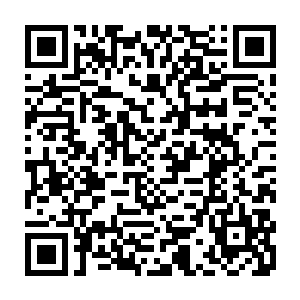 很快不管是纪委书记还是组织部长脸上的表情全都变得极为严肃凝重……二维码生成