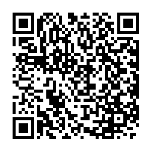 很快他们就看到了在转过山脚的一处小型草原上有着两群修士在厮杀二维码生成