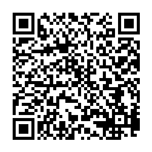 很快在这堆凝血草的中央见到了一株看上去差不多有一米左右的的凝血草二维码生成