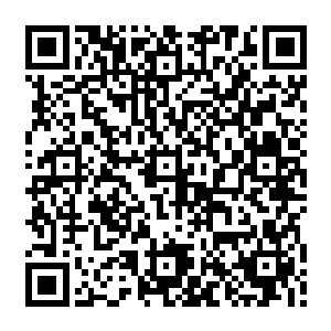 很快在那个散修刚才做的地方出现了一个浑身散发着死气手中拿着一个巨型镰刀的人二维码生成