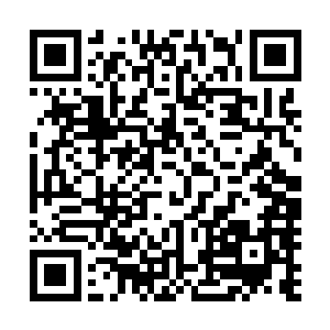 很快就会被一群还没取得战兵资格的菜鸟们用人海战术淹没二维码生成