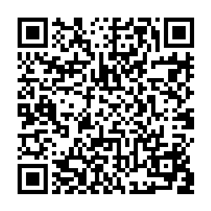 很快就可以获得青脉永固时空门基座的位置反馈――只要它确实在这片大陆上二维码生成