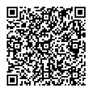 很快柯本等人通过卫星图像又把这些警戒哨和人员巡逻路线制定成电子地图再发回给林锐等人二维码生成