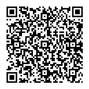 很快的 林晓夕就进入了梦想 而躺在林晓夕旁边的蒋雯 用手轻轻碰了碰林晓夕的身子 说道 二维码生成