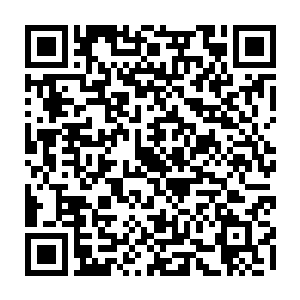 很快目光定格在了旁边的那个趴在地上一动不动的满脸惊恐的五彩sè的麒麟身上二维码生成