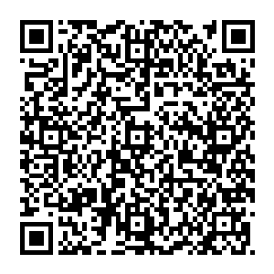 很感谢您这三万个账户几乎遍及了整个世界所有语言的交汇可以让我们排查游戏内的口语即时翻译系统工作能力二维码生成