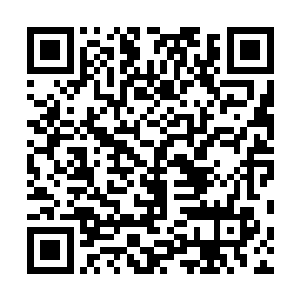 很明显它们是在寻找着机会对小胖进行最致命的一次攻击二维码生成