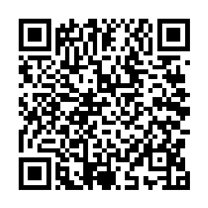 很显然丁羽并没有要把门口的小混混给放在眼里面的意思二维码生成