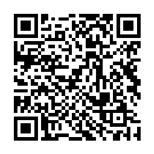 很显然刚才许德拉的气势已经对他们构成了十分严重的影响二维码生成